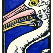 Pelican Snapshot